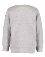 Boys long-sleeved sweatshirt